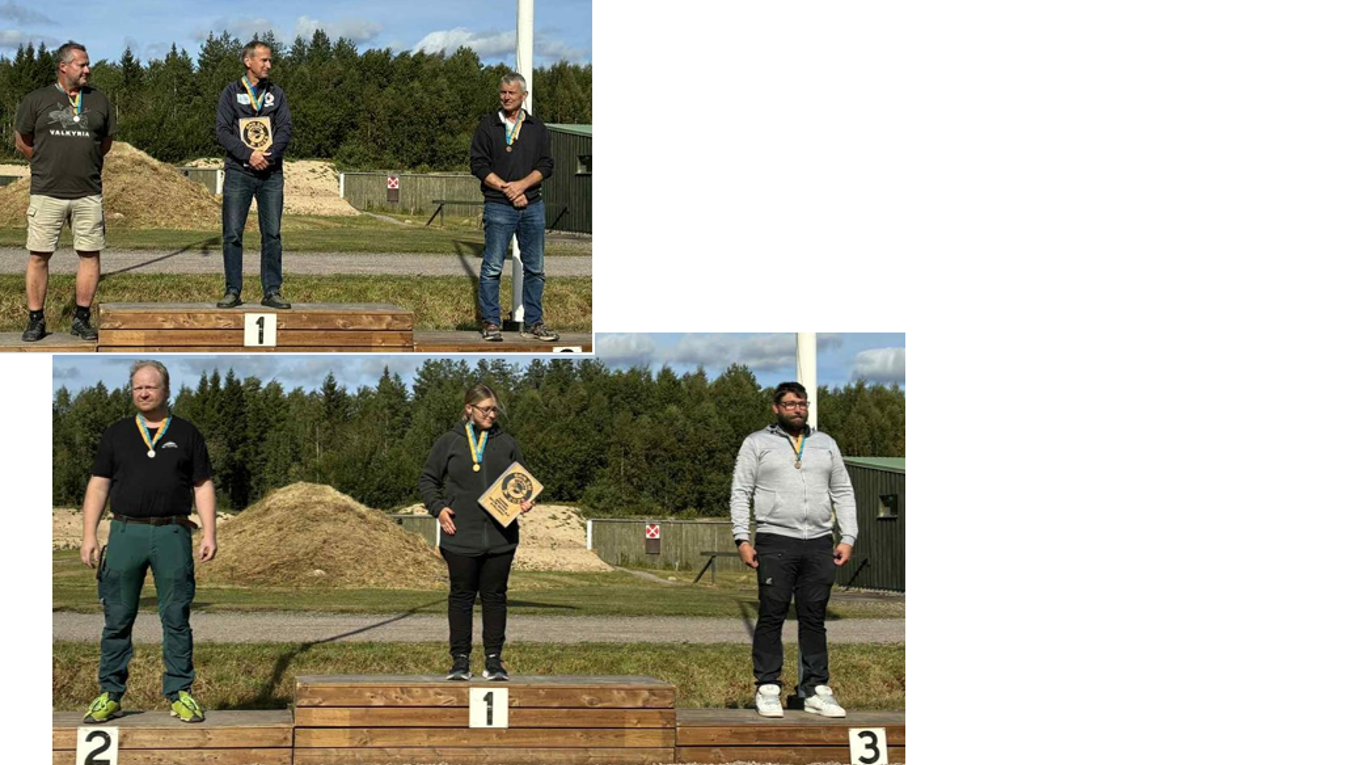 SM Ställningar (2)