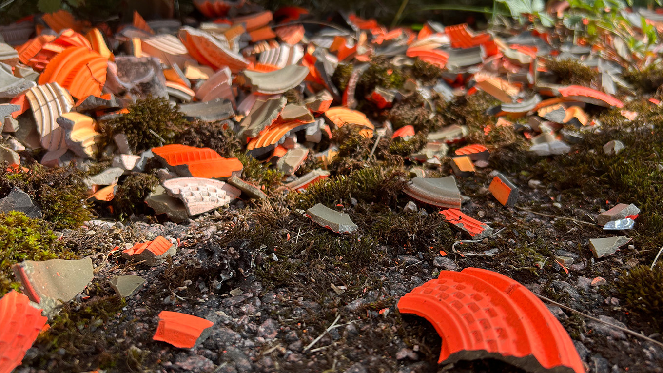 Förbud Lerduvor Nyhet